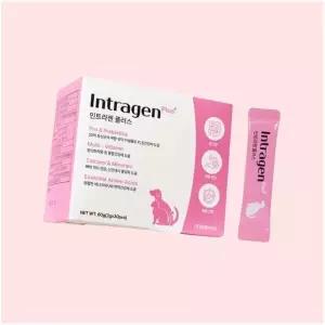 인트라젠 알켐 플러스 30P 분말 애완동물 장 면역 영양제 4695128