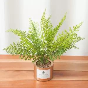 아트박스/플라워트리 아디안텀 고사리 조화 화분 캔 set 35cm 인테리어