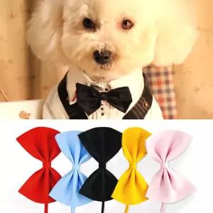 강아지 고양이 케이프 넥타이 나비 애견 코스튬 (특가)