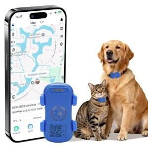 스마트 알림 및 위치 기록 지오펜스 실시간 방수 Android 구독이 필요한 개와 고양이를 위한 가드틱스 GPS