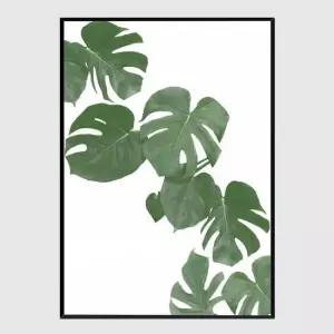 사무실액자 Monstera Aqua 02 A3사이즈 그림액자 거실액자