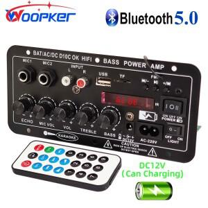 Woopker 전력 증폭 보드 D10C BT 5.0 듀얼 마이크 서브우퍼 배터리 충전식 디지털 앰프 노래방