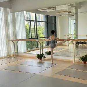 발레바 고정형 무용봉 이중층 지지대 스트레칭 바레 기구 연습용