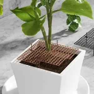 화분 아기 고양이 날림 만짐 30cm 흙 덮개 방지 커버