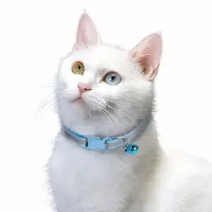 냥이목줄 냥이목걸이 고양이 목걸이 방울 인식표 WFLPQ2A