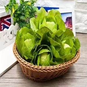 주이 인공 가짜 꽃 피는 양배추 시뮬레이션 풀 블로우 볼 1PCS