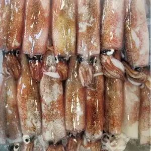 (빅)[산지직송] 한입 자연산 통찜용 한치 1kg(대 30~40미)