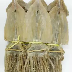 마른오징어 1.1kg(20마리) 건조오징어