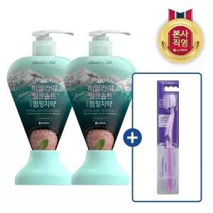 히말라야핑크솔트 펌핑치약 285g(아이스)×2개 + 퍼플 칫솔 1입