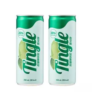 팅글 리얼에이드 청사과 250ml x 60캔