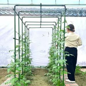 넝쿨 지지대 온실 오이 거치대 텃밭 덩굴 포도나무 원예 식물 작물