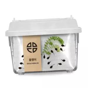 초등 과학 키트 학습용 체험 자연 개구리 관찰 키트 탐구 키우기 준비물 관찰통 올챙이 한살이 수업 교육