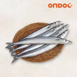 (온도씨)바로 구워먹는 구이용 꽁치 1kg(8-10미)