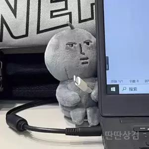 돌멩이인형 조약돌 반려돌 조약돌쿠션 펫스톤 쿠션 반려석 베개 애완돌 인테리어 키우기 먼지인형