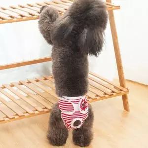 강아지 찍찍이 생리팬티 위생팬티 기저귀 암컷 2XL WFHXK66