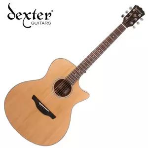 덱스터 Dexter GA-100 SCE 통기타