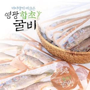 [연애]영광법성포 함초진공굴비 40미(20~22cm내외,마리당80g)