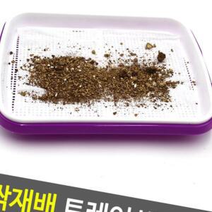 새싹 트레이 재배기 식물 씨앗 키우기 봄 채소 무순 스마트팜