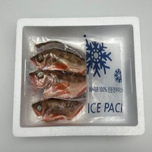 불볼락 열기 뽈락 손질 빨간생선 자연산 급냉 1kg(6-7미) 에스더블유몰