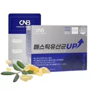 매스틱 유산균 UP 위불편함 배변활동원활 장건강 락티플란티바실러스 제주양배추 브로콜리 90정