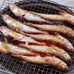 국내산 동해안 도루묵 1kg 20미 내외