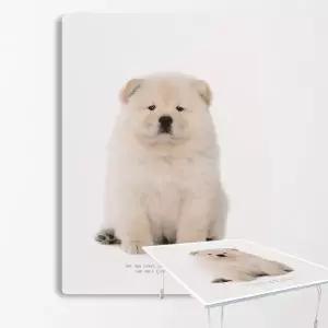 집들이선물 추천 원룸 거실 그림 액자 겸용 접이식 좌식테이블 49-차우차우