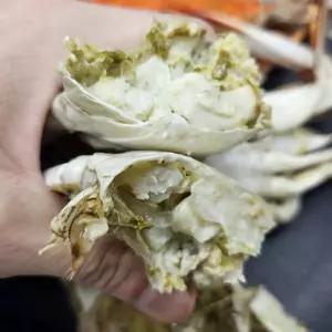 국내산 냉동 숫꽃게 1KG 국내산 국산 냉동 급냉 꽃게