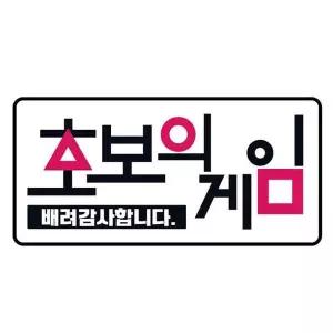 자동차데칼 차량꾸미기 야광스티커 클레버824