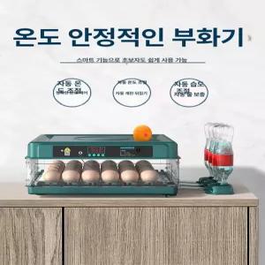 52QUAD 병아리부하기 알부화기 병아리 닭부화기 인큐베이터 유정란 자동부화기 부화기