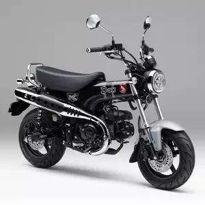 혼다 닥스125 ST125 Dax125 / 혼다코리아 정식수입 / 몽키125