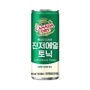 캐나다 드라이 캐나다 진저에일 토닉 250ml x 60EA