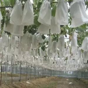포도 과일 비닐하우스 주머니 망사 과수 봉지 포도 사과 배
