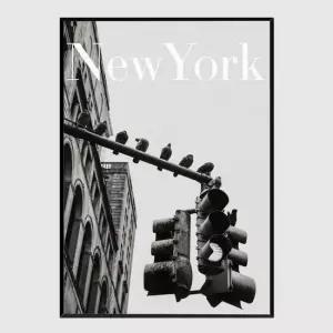 모던 인테리어액자 NYC Doves A2사이즈 거실액자 깔끔한액자 공간그림