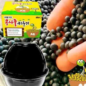 콩나물키우기 키트 재배기 가정용콩나물 - 국내산