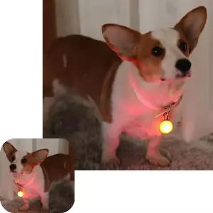 라이트1P 애견 반려동물 야간산책 OC1065 목걸이 LED LED펜던트 LED목줄