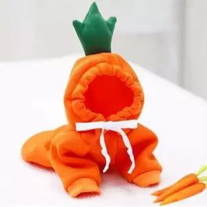 반려동물 과일옷 당근 강아지옷 고양이옷 XL 귀여운