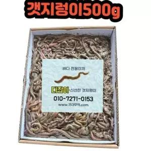 원투 미끼용 생물 갯지렁이 청개비 미끼 낚시 찌낚시-WFO5VA7