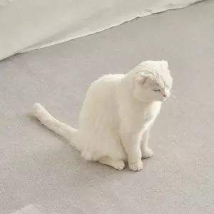 대형 러그 200X300cm 홈인테리어 카페트 북유럽 사계절 침대