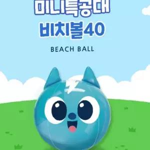 물놀이 비치볼 40cm 캐릭터 디자인 여름 해변 수영장 야외 레저 어린이 놀이