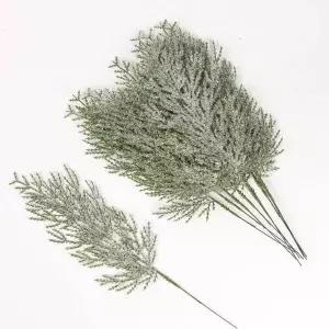 스노우 비취측백가지 (35cm) (10개 묶음) 황금측백나무 둥근측백