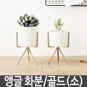 철제 다육 화병 꽃병 도자기화분 빈티지화병 유리 골드 소