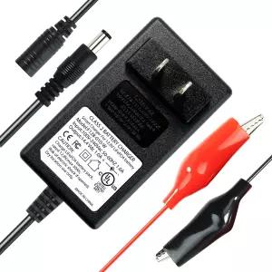 리튬 LiFePO4 딥 사이클 충전식 배터리를 위한 ExpertPower 2V A 스마트 충전기 DC 552 남성 및 악어 클립