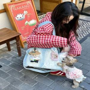 반려동물 휴대용 야외 백팩 고양이 강아지용