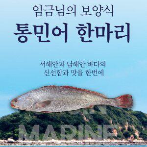 [우리존]자연미가 국내산 통민어 한마리 (50cm이상, 손질1,3kg 내외) /okjin 임금님진상 사계절 보양식