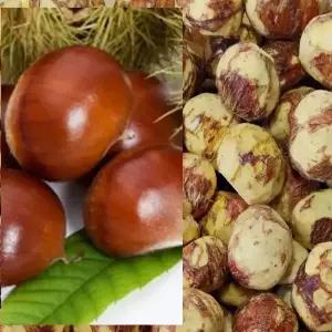 충주밤 (대)2kg/ 이장님네 농산물 (맛 100%보장)