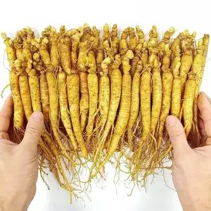 금산인삼 수삼 4~6년근 삼계탕인삼 실속600g 65~72뿌리