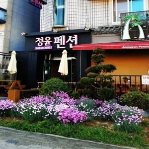 [충남] 보령 정윤 펜션(충남, 보령)