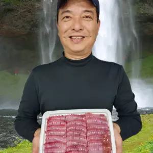 목포 국산 손질 참홍어 홍어회 250g 500g 숙성도조절