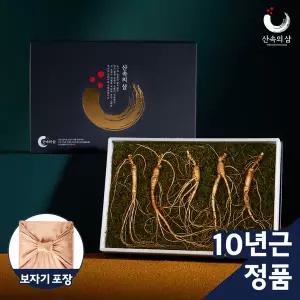 [산속의삼][건강선물추천]  인정받은 국내산 프리미엄 산양삼 10년근 5뿌리