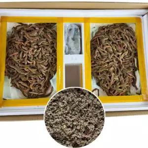 바다 낚시 미끼 대용량 생미끼 갯지렁이 생물청 개비 미끼용 150g 자연 루어 민물 있는 살아